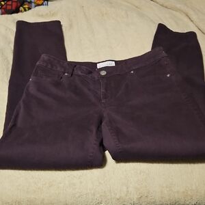 LOFT Plum Denim Pants Curvy Skinny Size 8/29